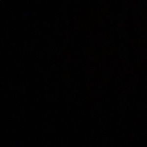 Meet your Posher, Tamya